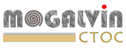 colorite-hibuild-logo